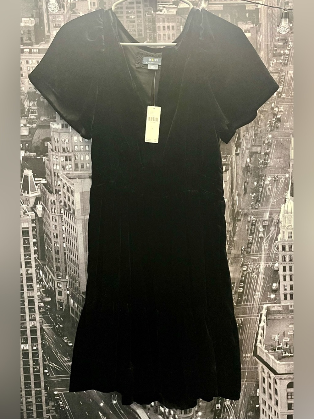 Anthropologie Somerset Velvet Mini Dress